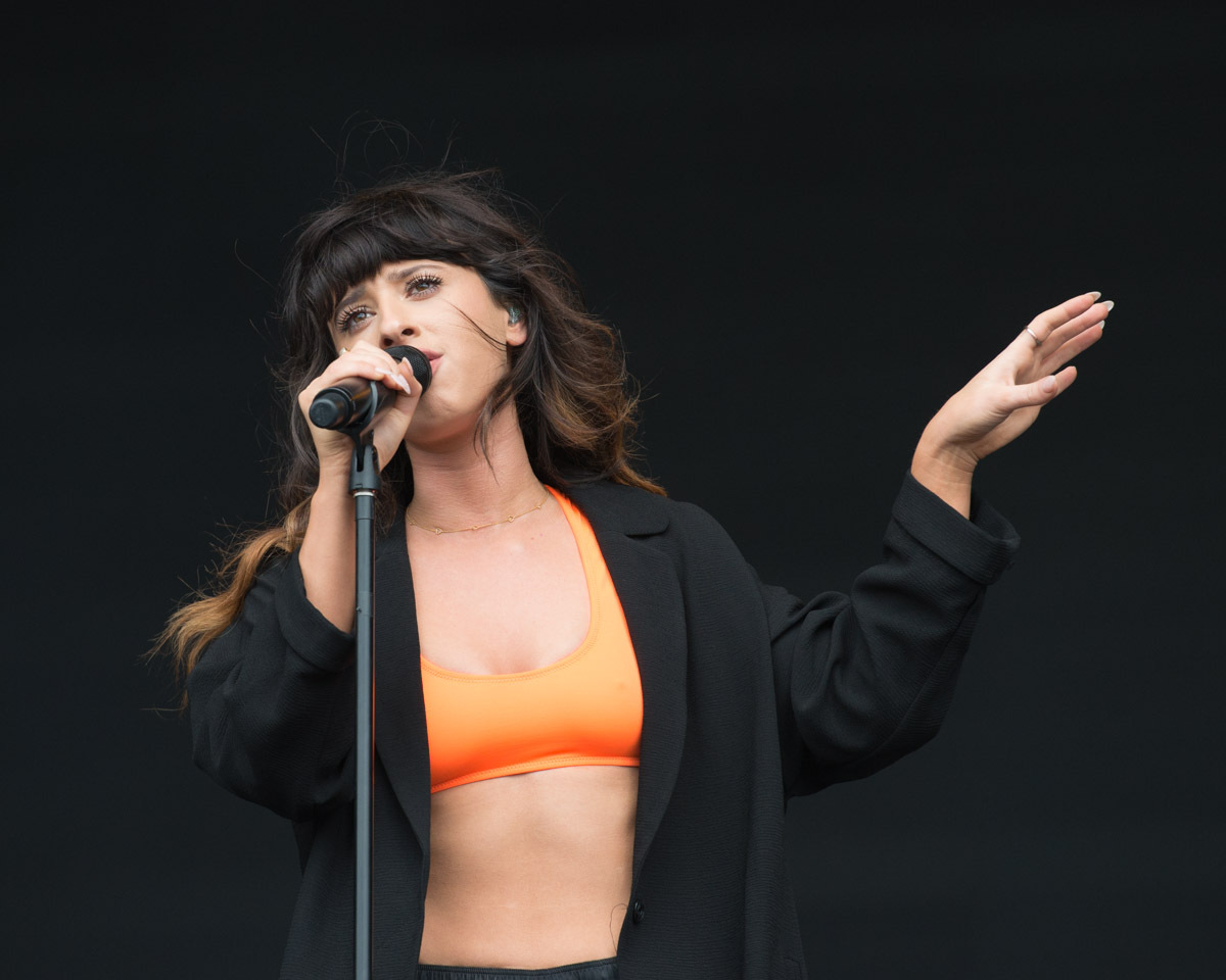 07 06 14 Parklife 2014 Foxes 2 of 3