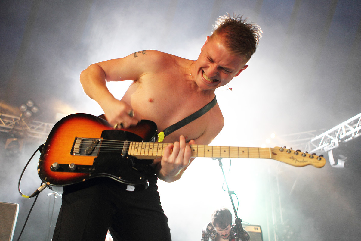 The amazing snakeheads