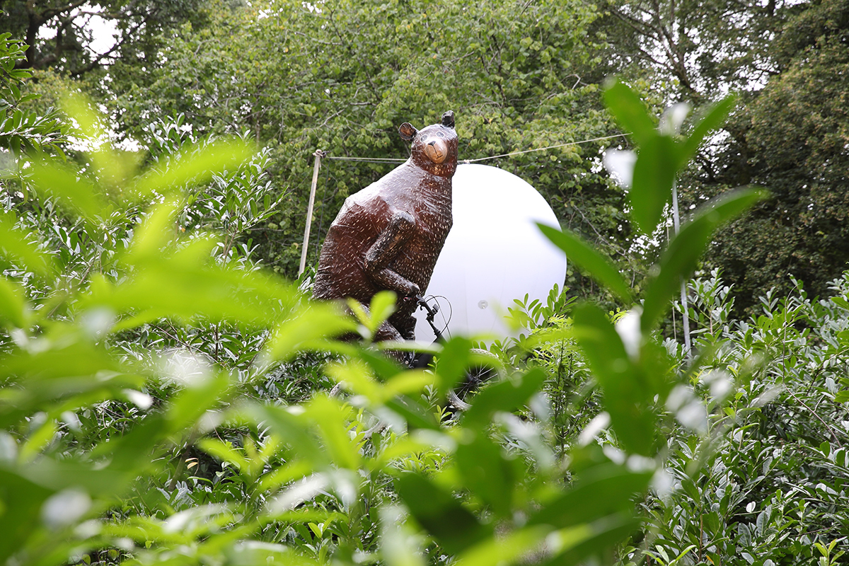 Site eotr15 day3 bc02