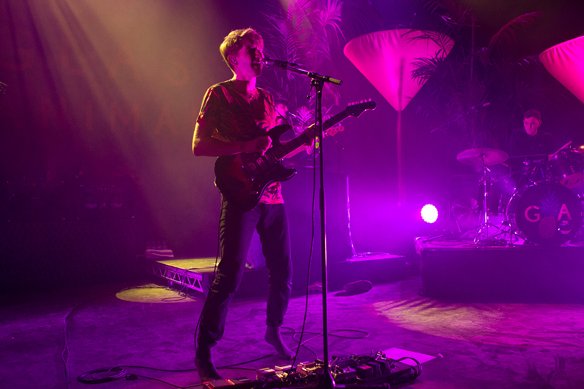 Glass animals sbe bc12