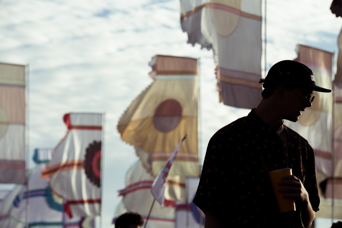 Glastonbury 280615 Siamak Amini 14