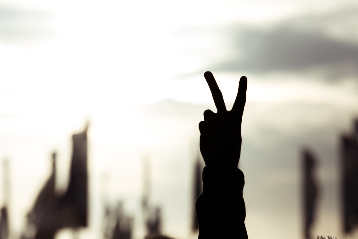 Glastonbury 280615 Siamak Amini 15