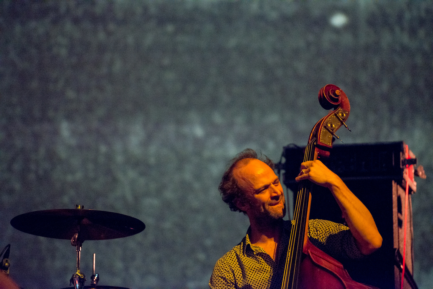 Godspeed You Black Emperor perform during the Pitchfork Music Festival in Paris France 05