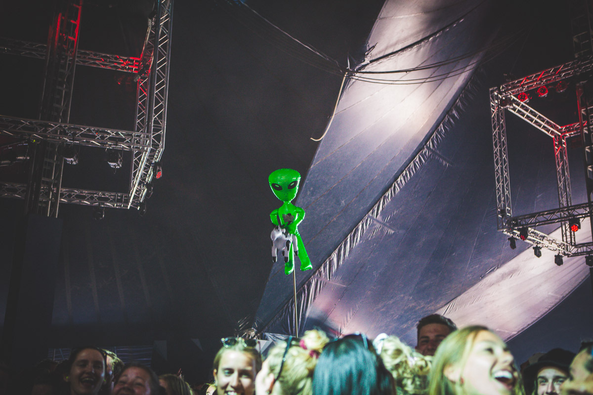 Father john misty crowd