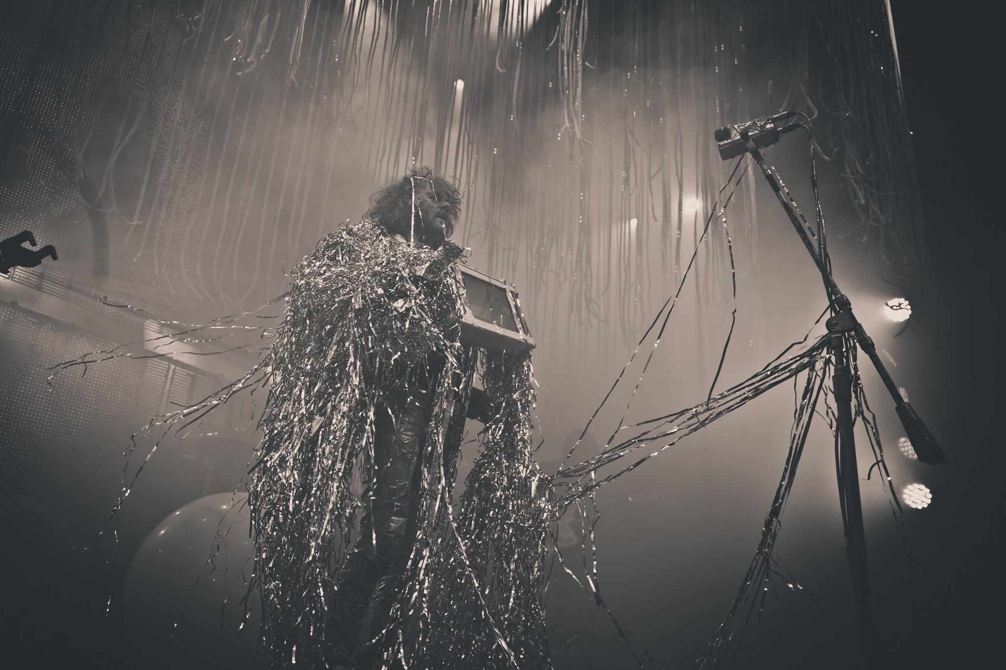 FLAMINGLIPS9 V6 A7465