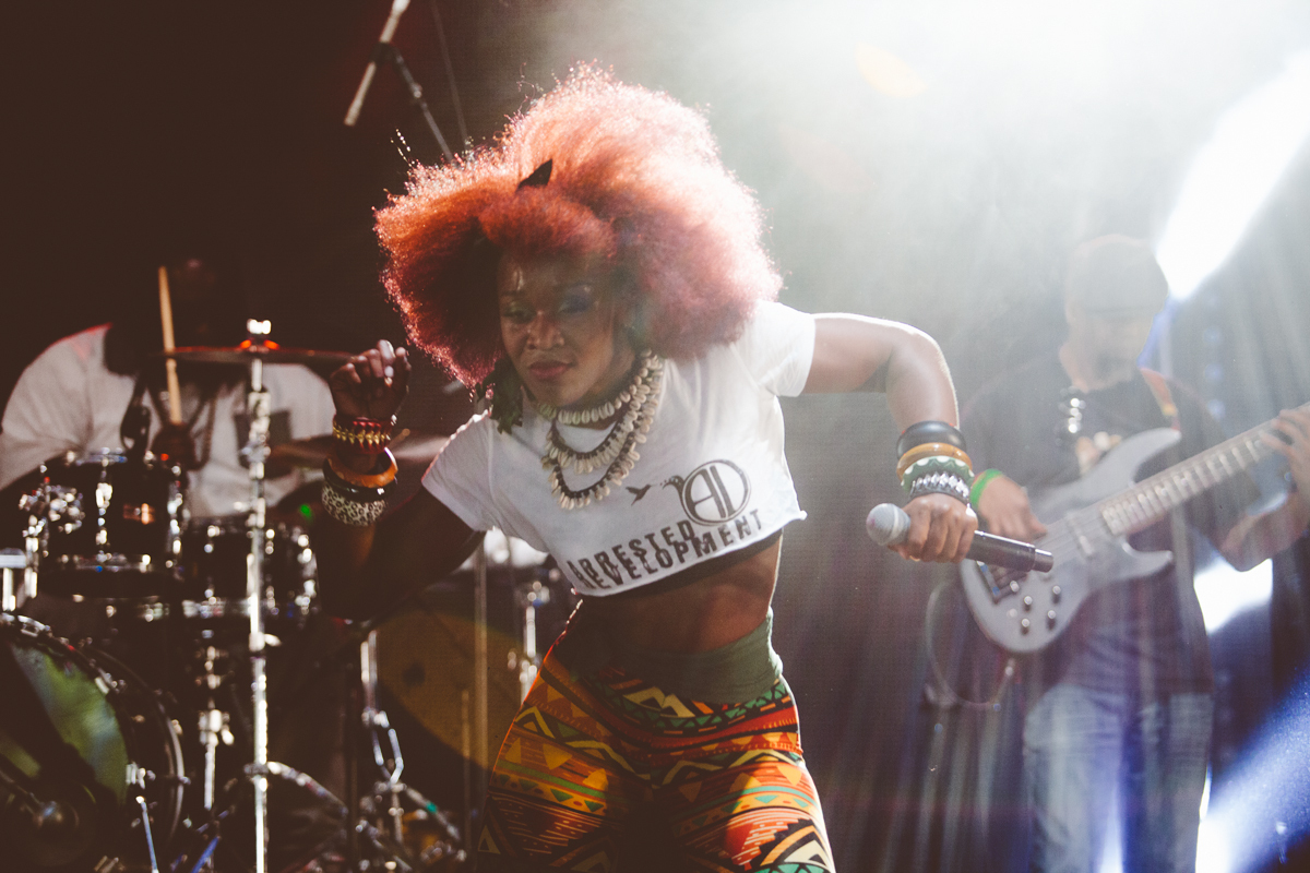 Wireless Festival2015 3