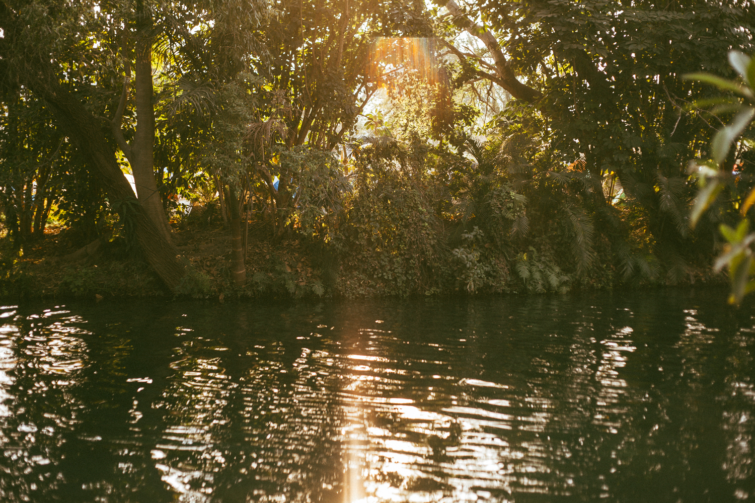 Bahidora Sonido Gallo Negro Las Estacas 21 02 16 Daniel Patlan 21