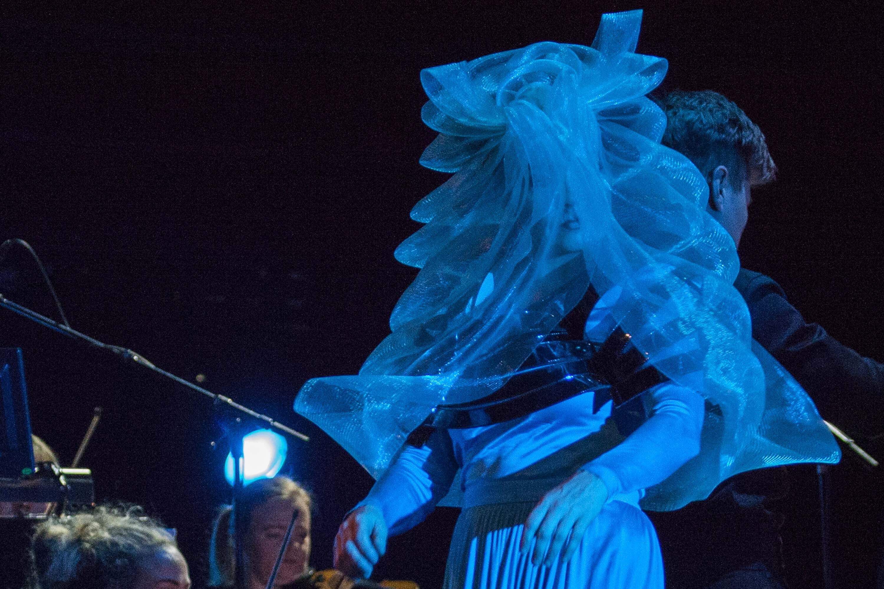 Bjork 11 05 2015 Photocredit Santiago Felipe 01 B