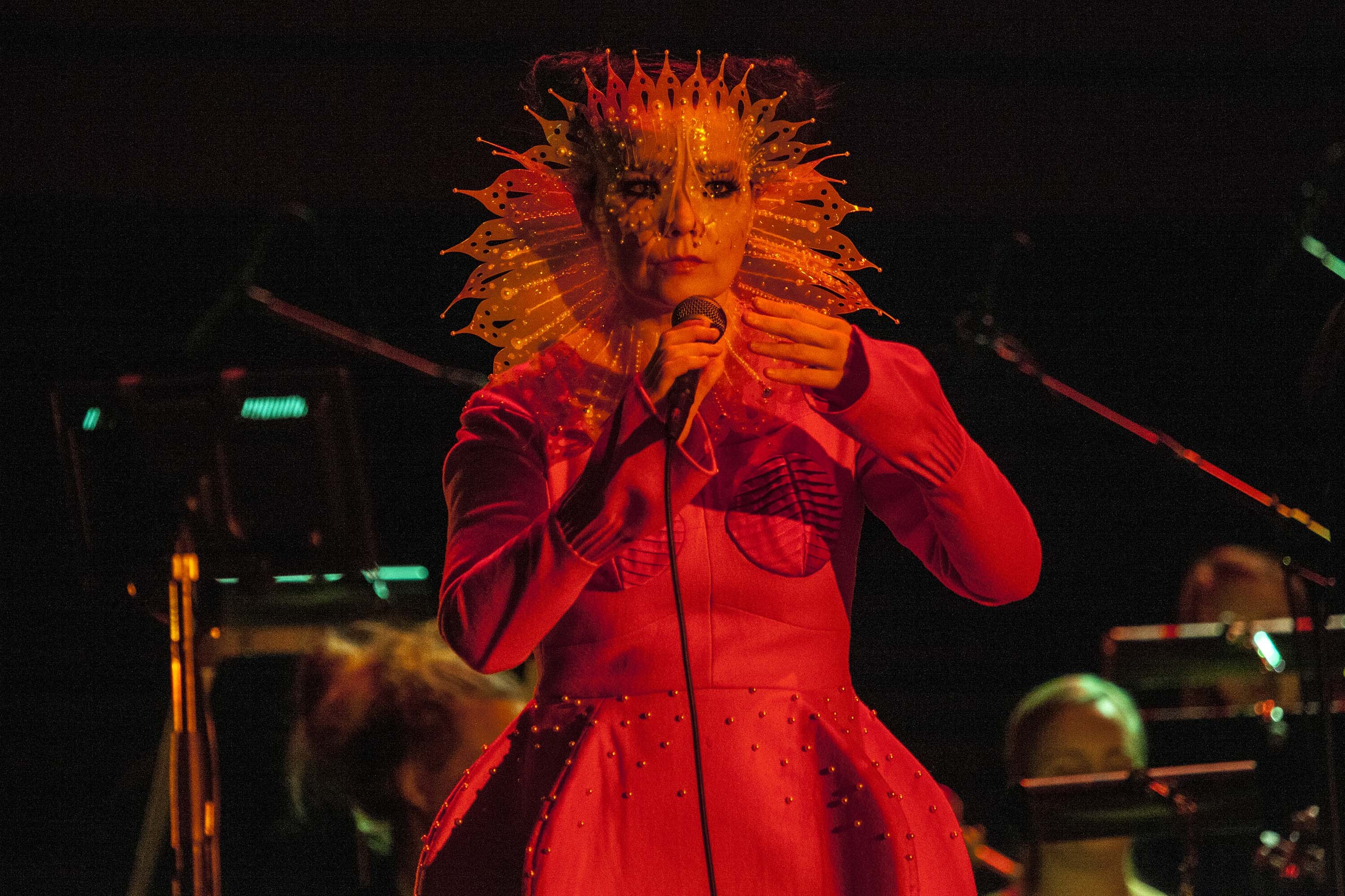 Bjork 11 05 2015 Photocredit Santiago Felipe 04