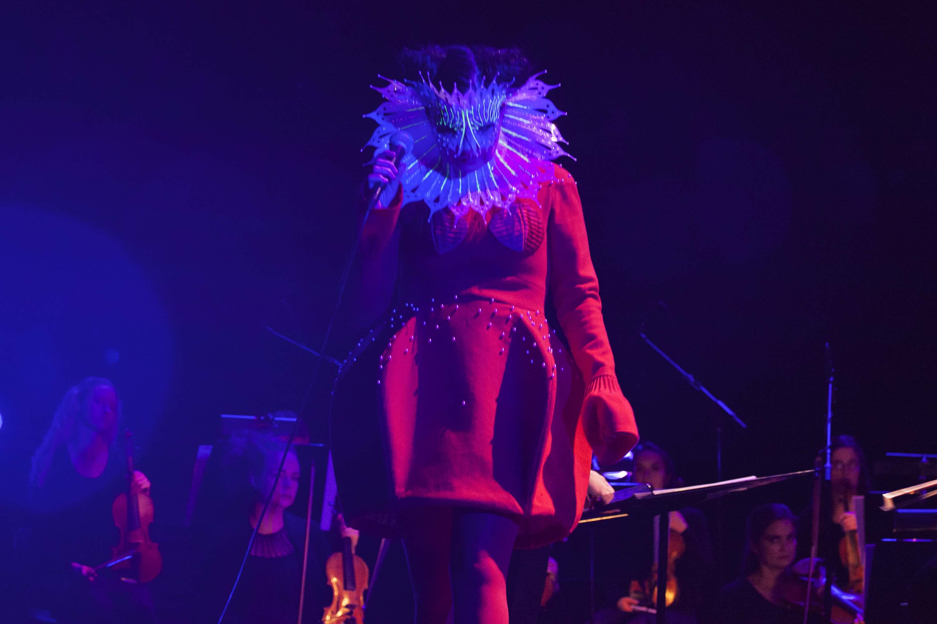 Bjork 11 05 2015 Photocredit Santiago Felipe 08