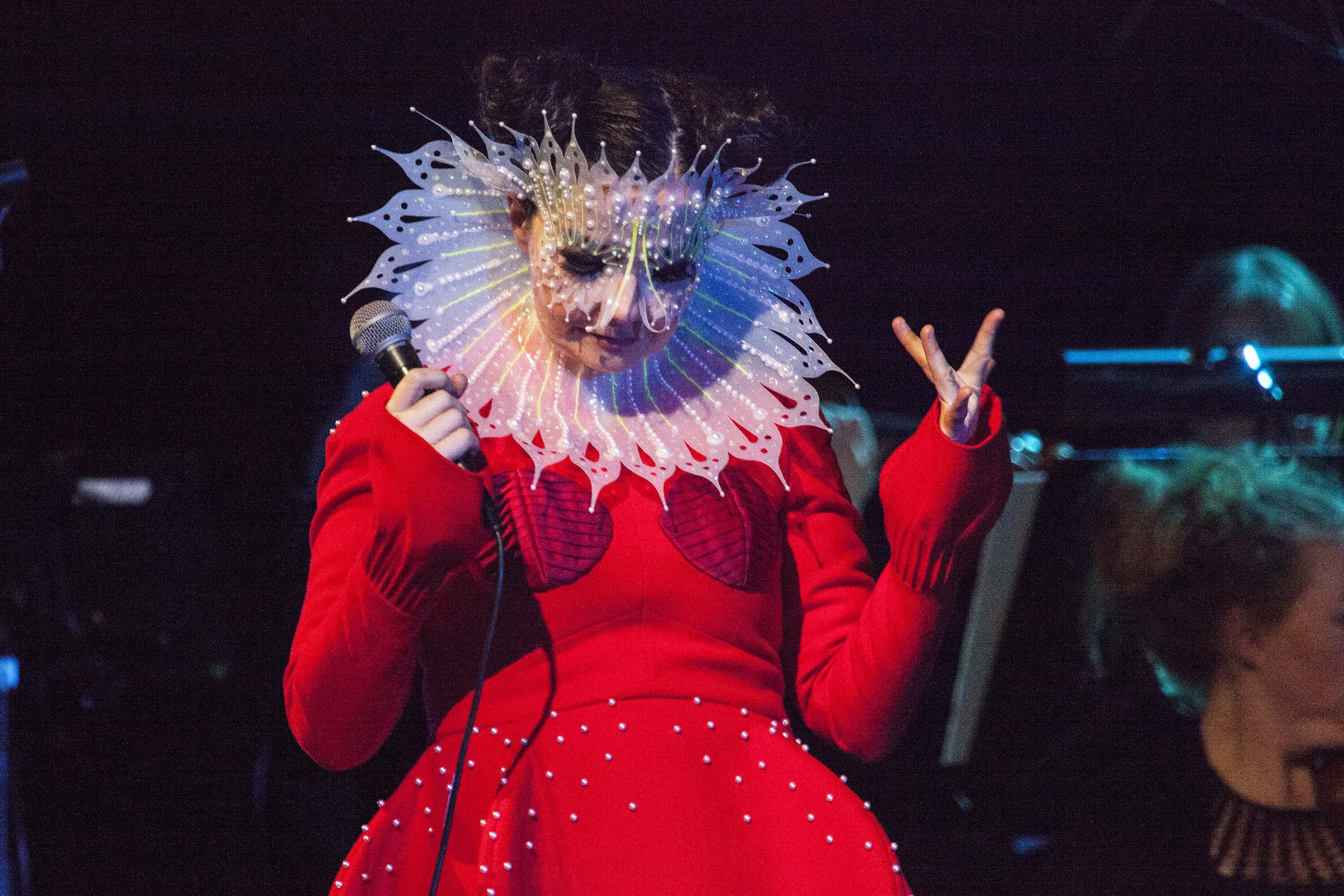 Bjork 11 05 2015 Photocredit Santiago Felipe 11