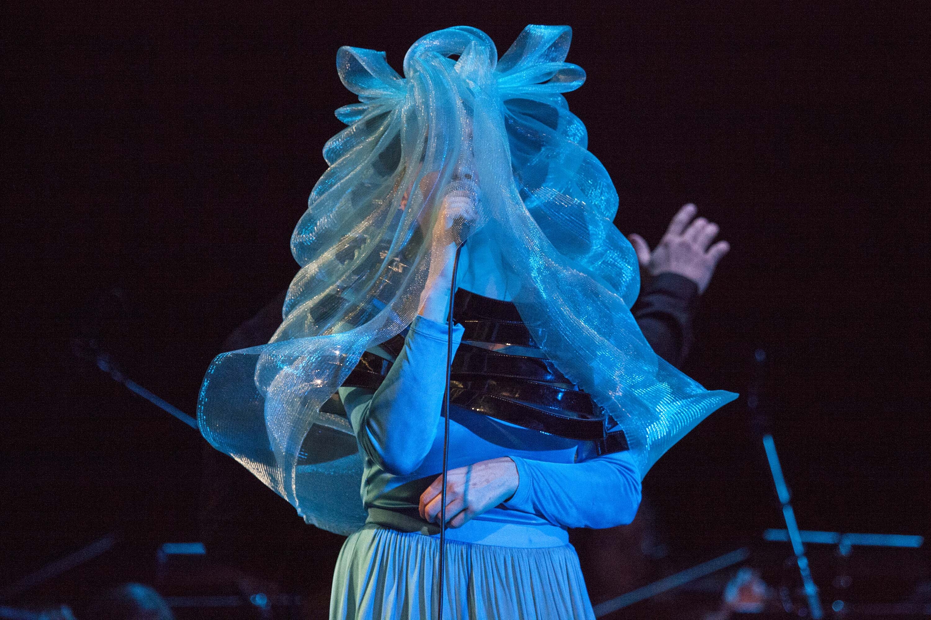 Bjork 11 05 2015 Photocredit Santiago Felipe 17