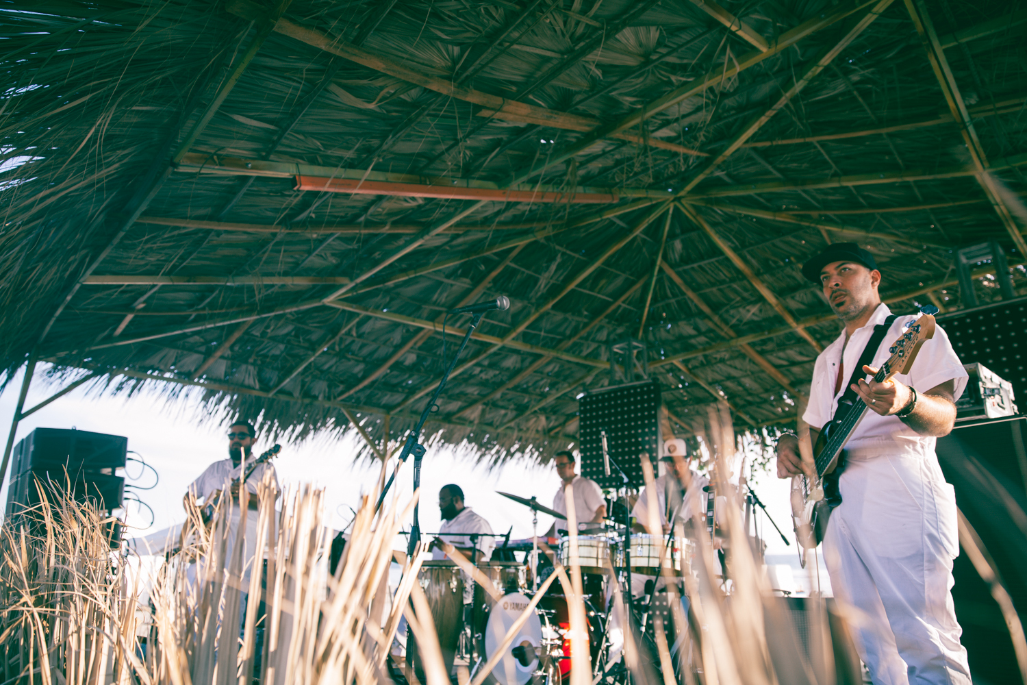 Money Chica Tropico 2016 Domingo Acapulco 04 12 16 Daniel Patlan Desde 1989 7