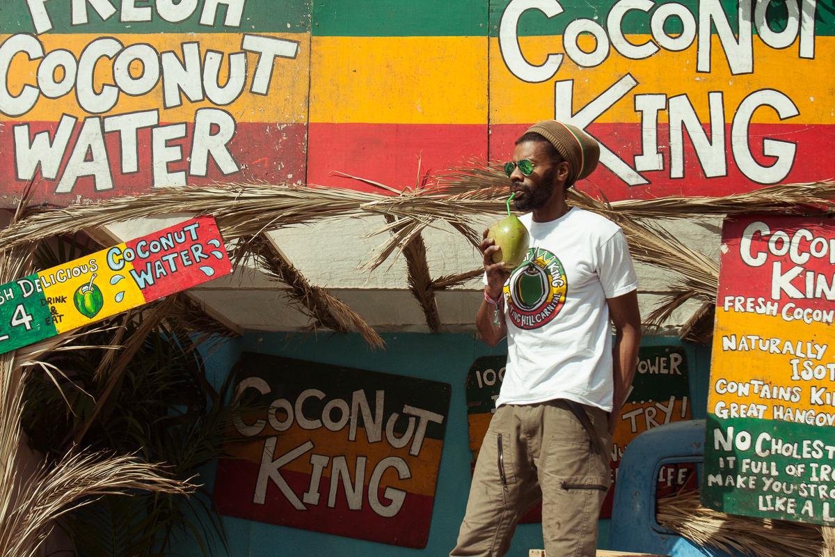 Hyde Park 020716 Siamak Amini 4