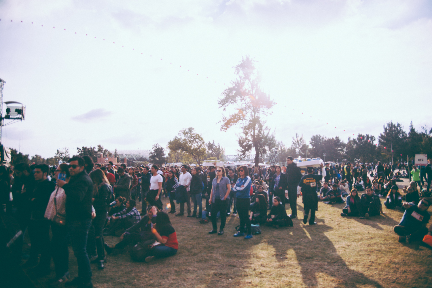 CC16 Best Fit Domingo 112