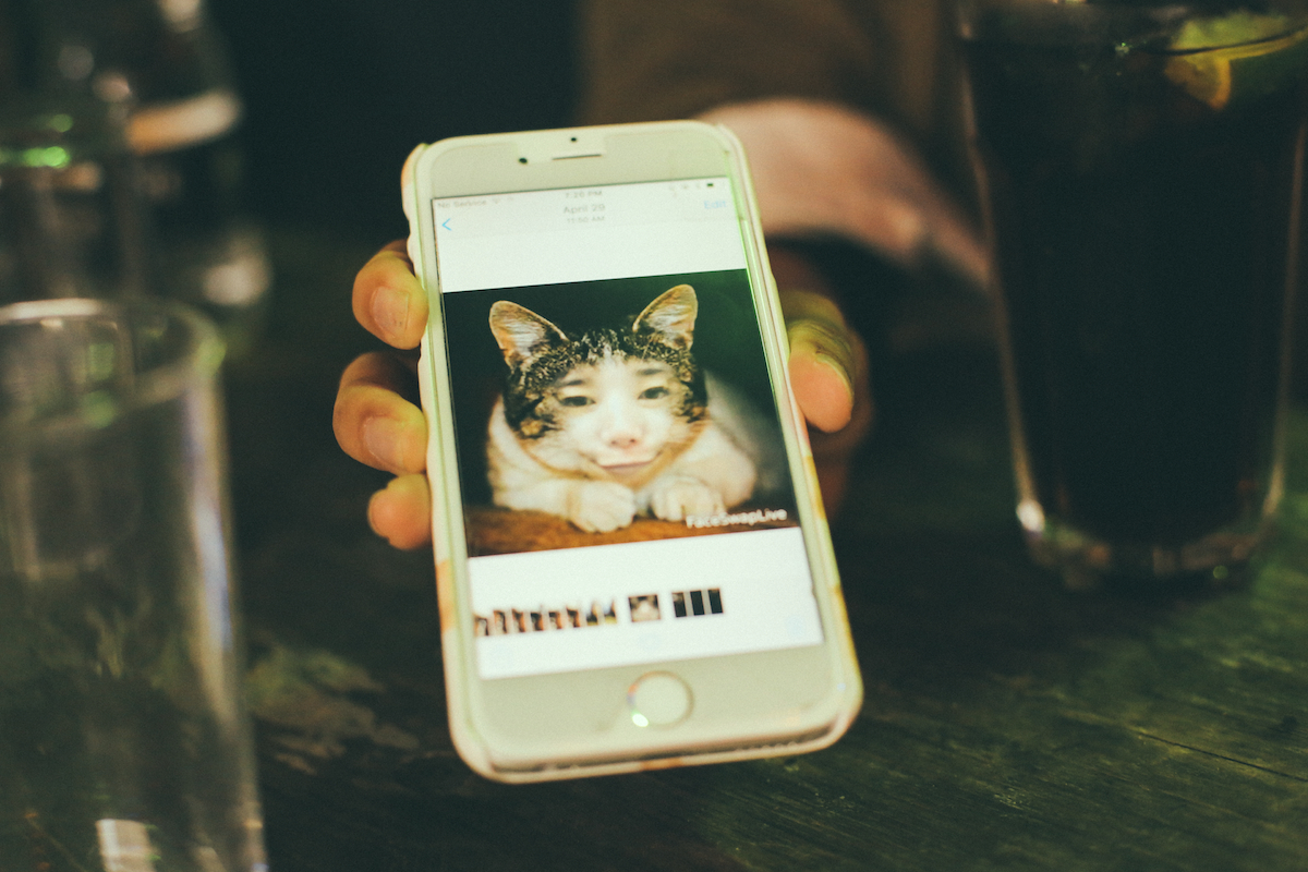 Cuushe Birthdays London 300516 Sara Amroussi Gilissen 10