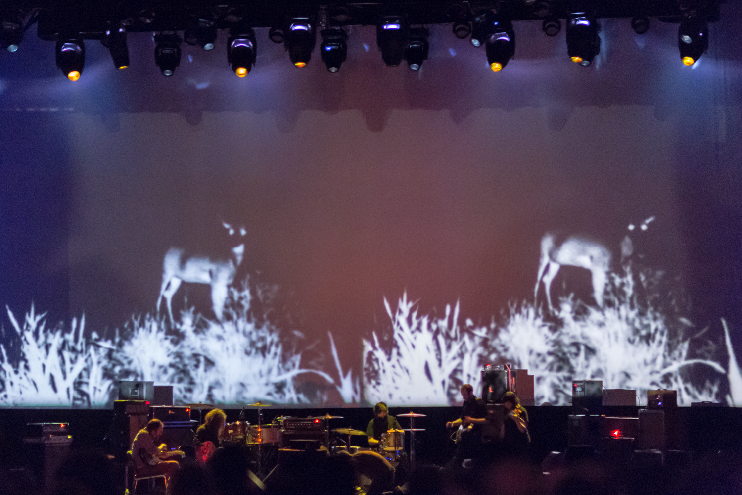 01 GYBE at The Fox by Ian Young