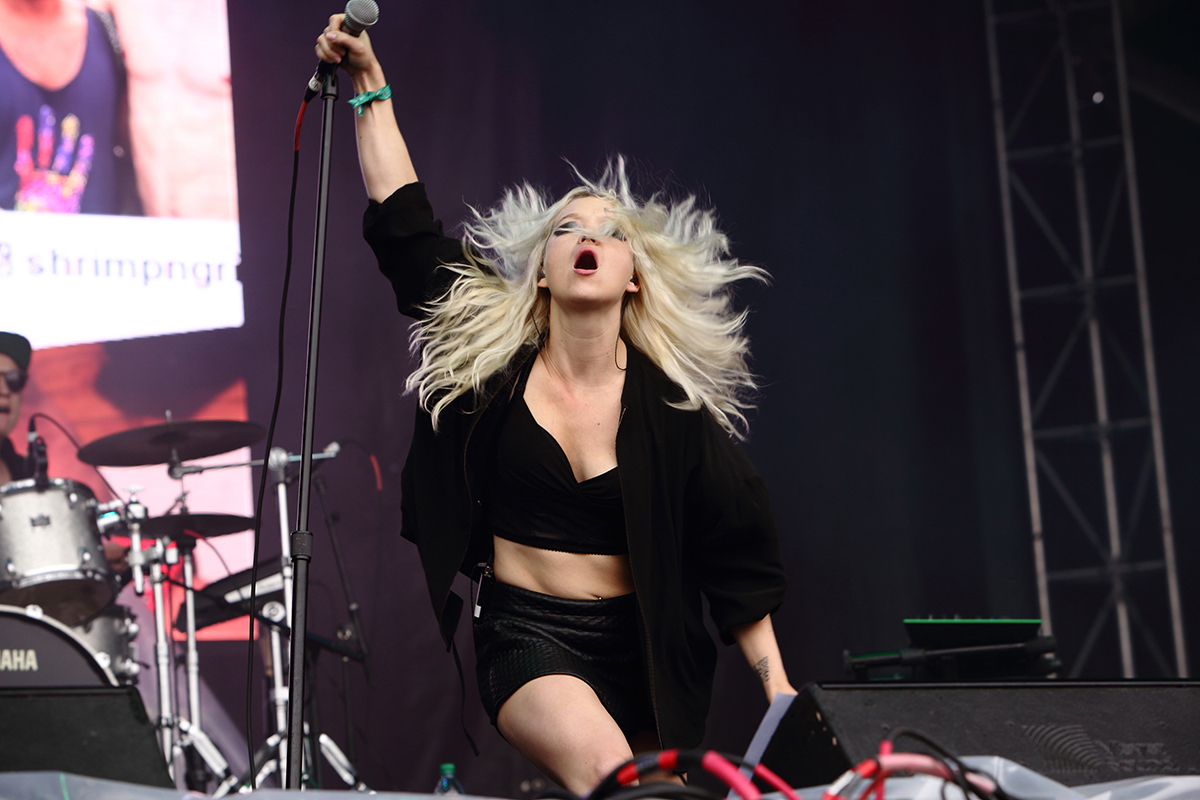 Transviolet govsball16 bc