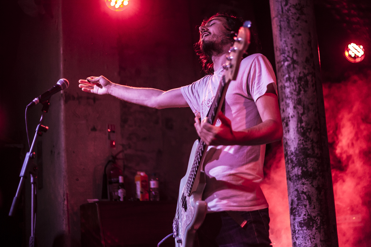 21 PAWS Stereo 25062016 davidmcandrew