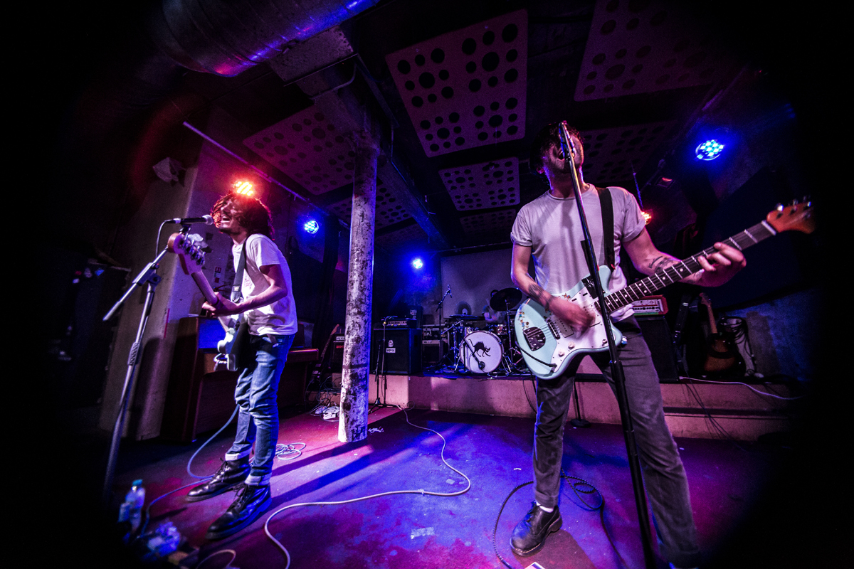 22 PAWS Stereo 25062016 davidmcandrew