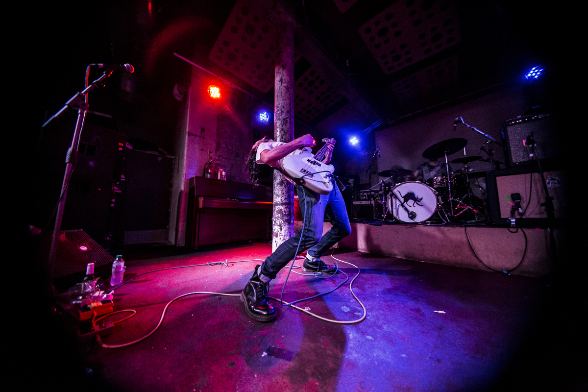 25 PAWS Stereo 25062016 davidmcandrew