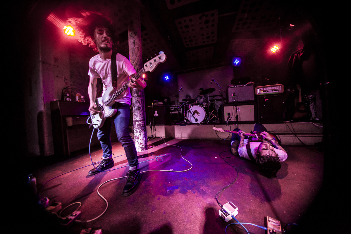 26 PAWS Stereo 25062016 davidmcandrew