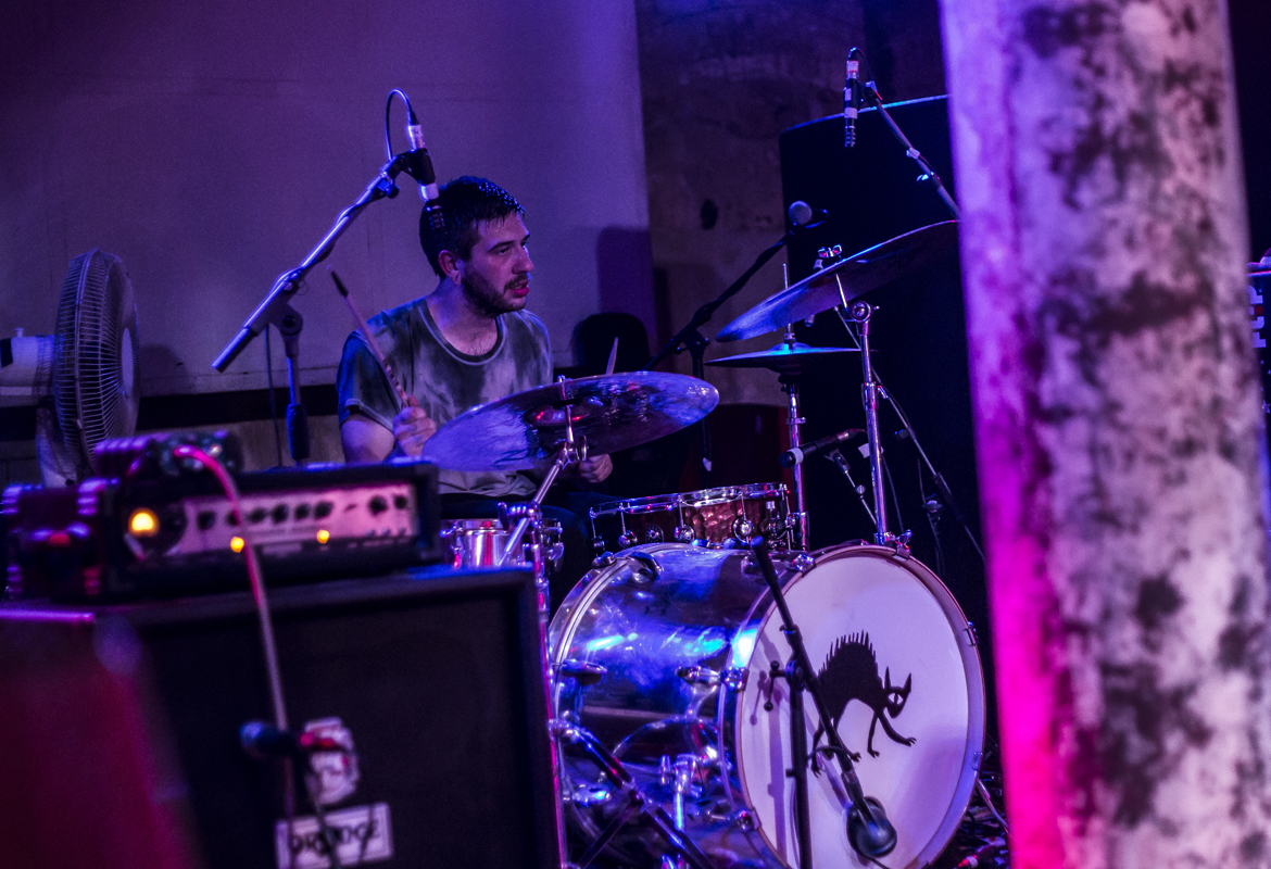 30 PAWS Stereo 25062016 davidmcandrew