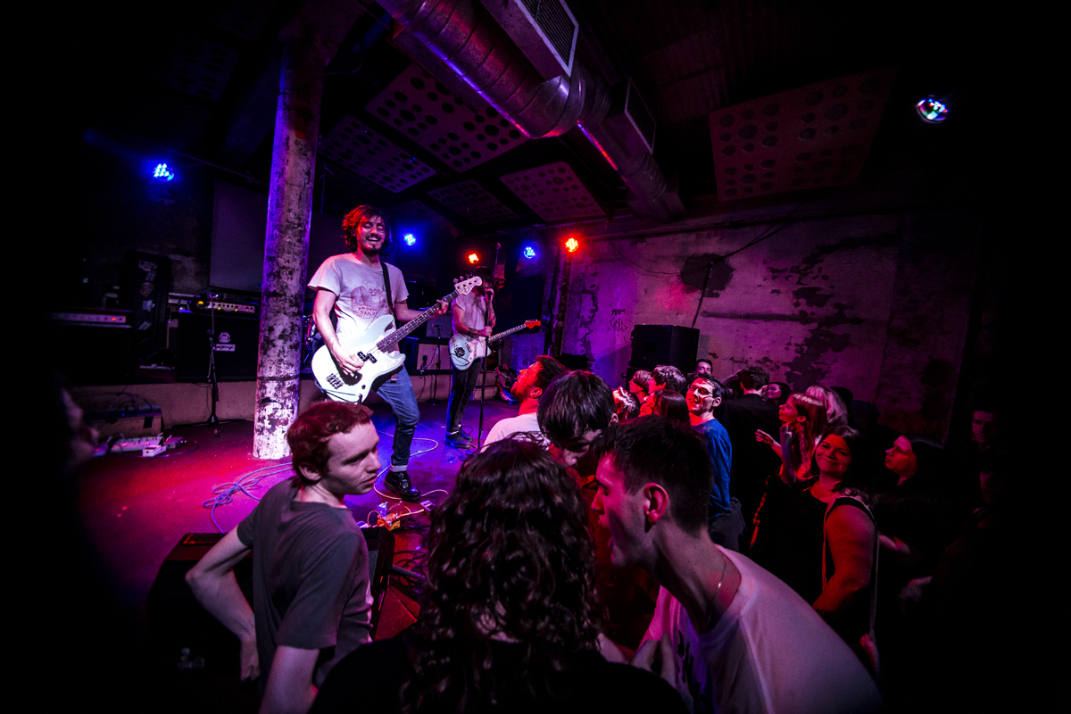 31 PAWS Stereo 25062016 davidmcandrew