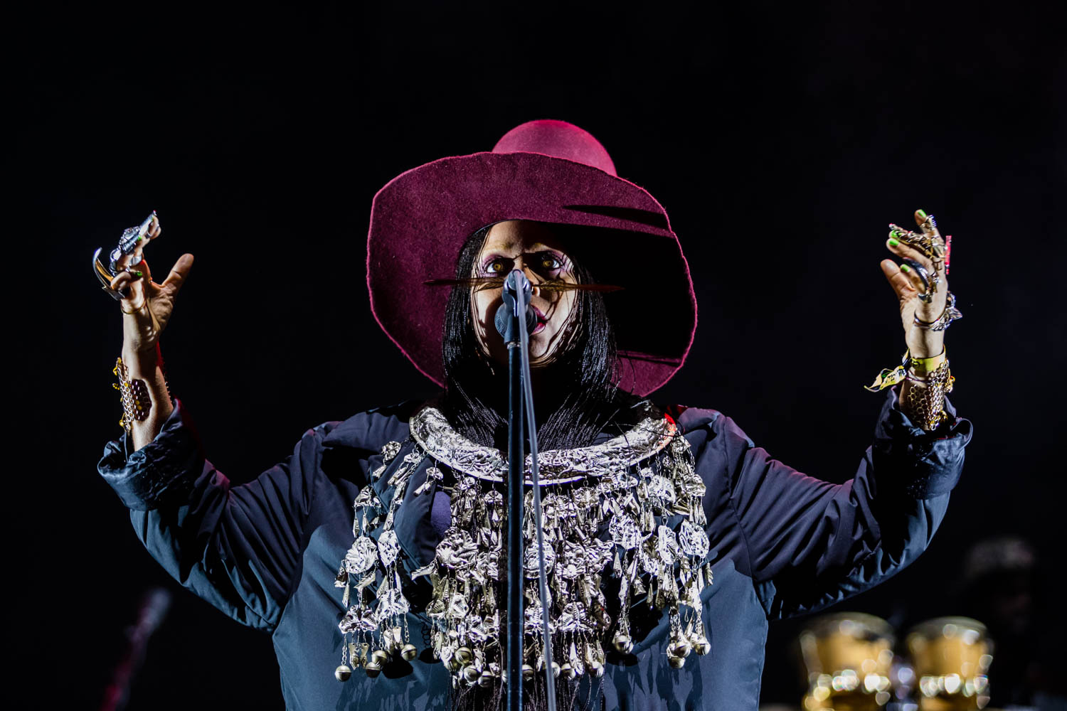 Camp Flog Gnaw2016 Erykah Badu 02