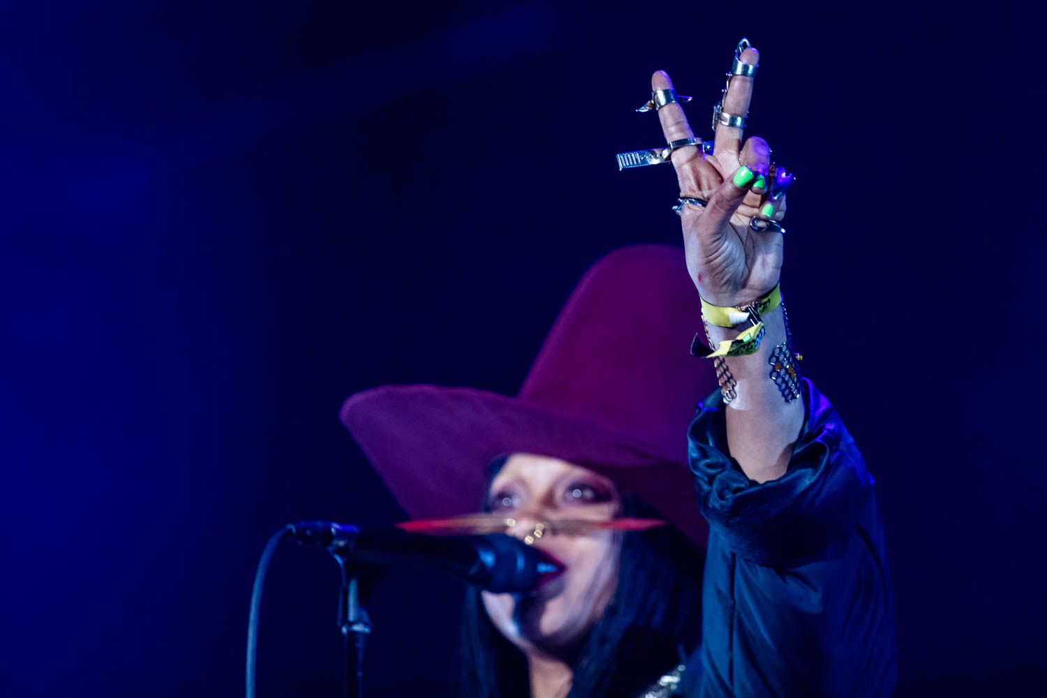 Camp Flog Gnaw2016 Erykah Badu 03