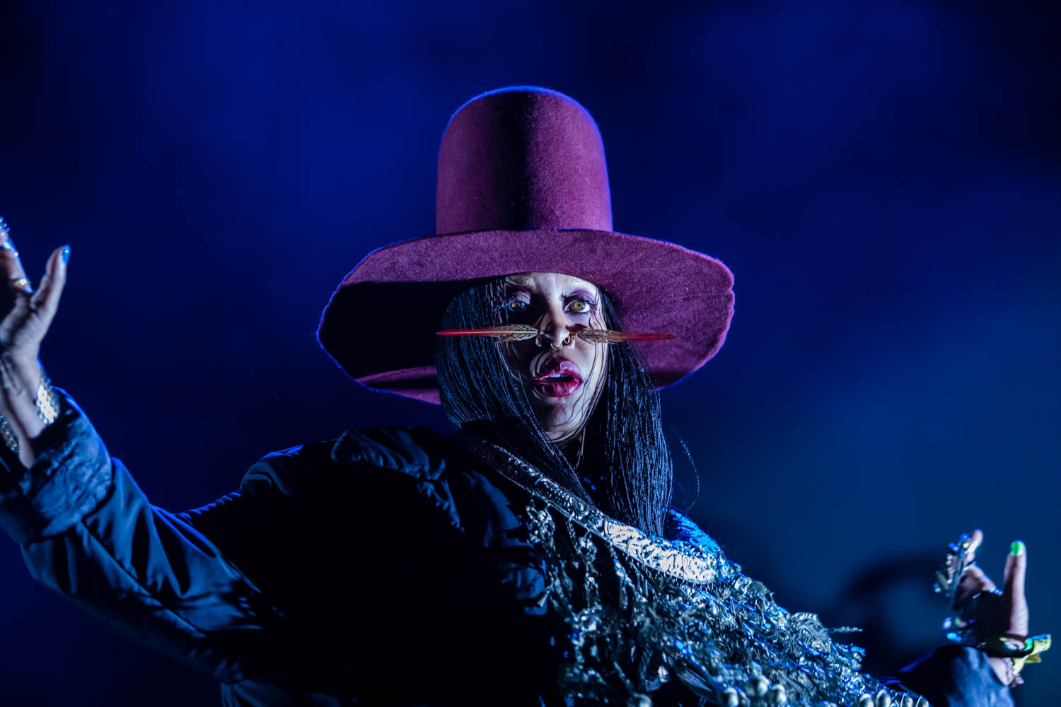 Camp Flog Gnaw2016 Erykah Badu 04