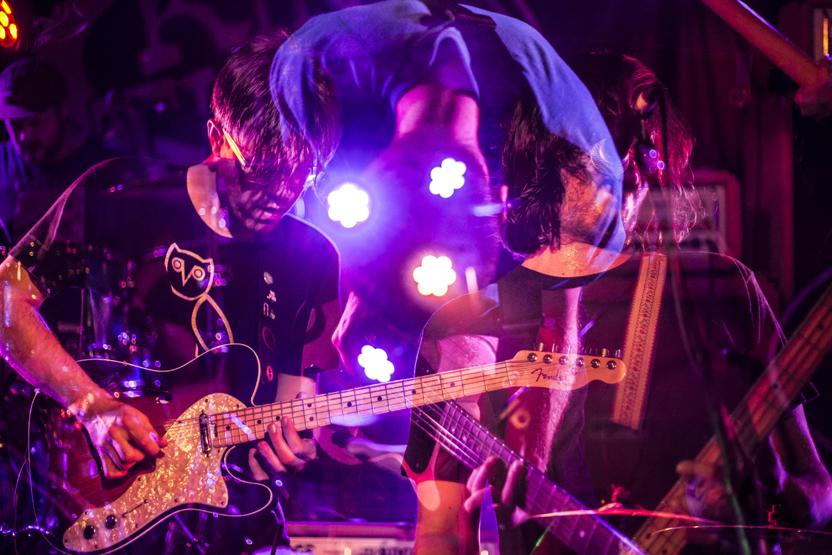 34 PUP King Tuts 18082016 davidmcandrew