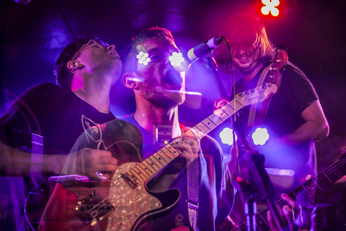 35 PUP King Tuts 18082016 davidmcandrew