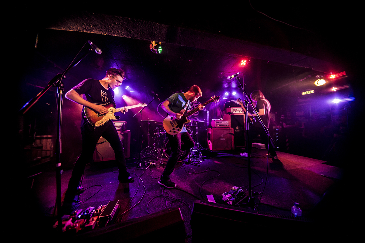 38 PUP King Tuts 18082016 davidmcandrew