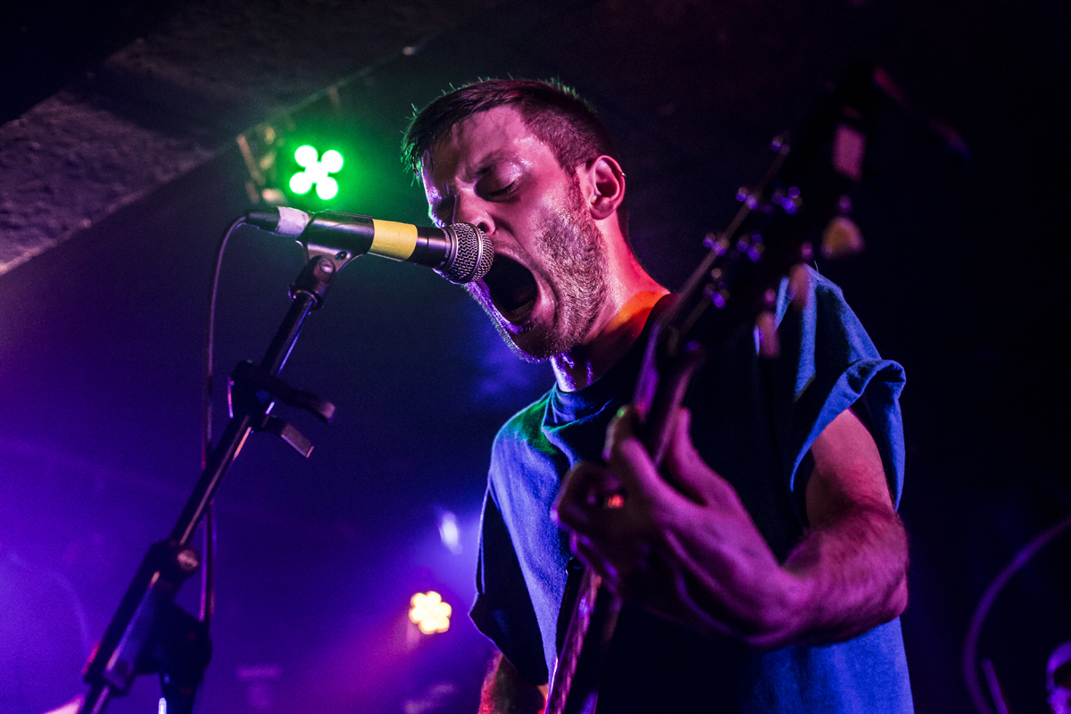 40 PUP King Tuts 18082016 davidmcandrew