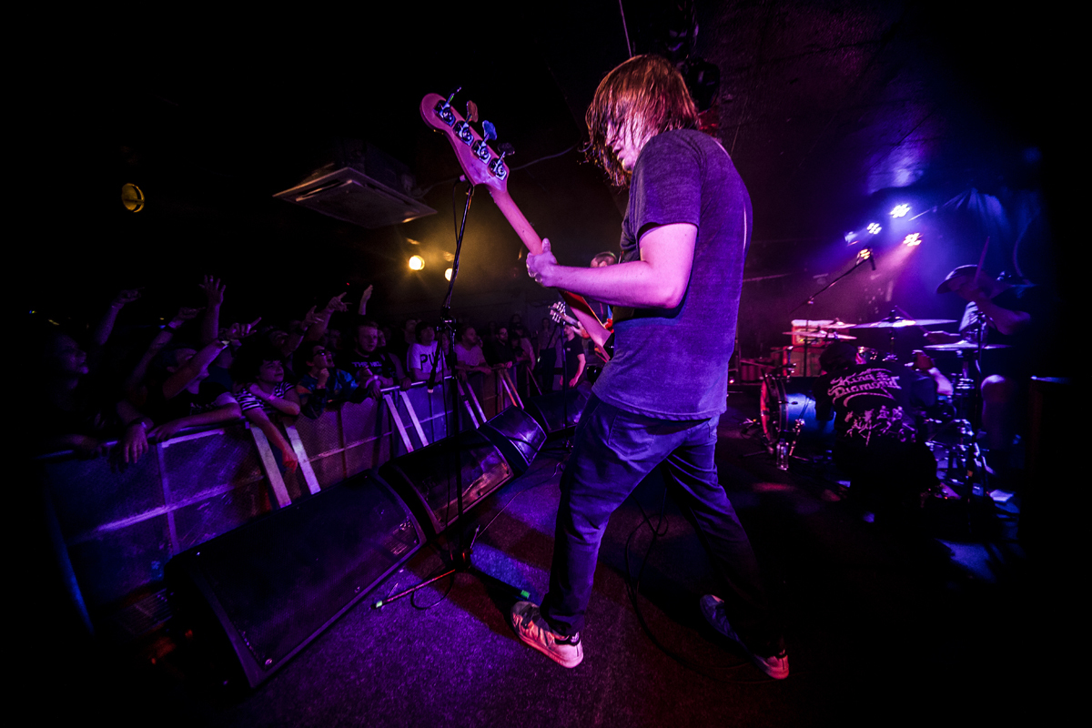 41 PUP King Tuts 18082016 davidmcandrew