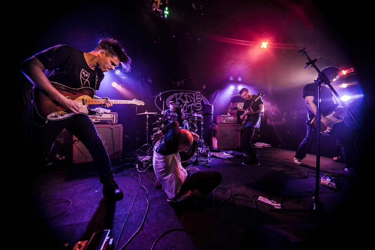 46 PUP King Tuts 18082016 davidmcandrew