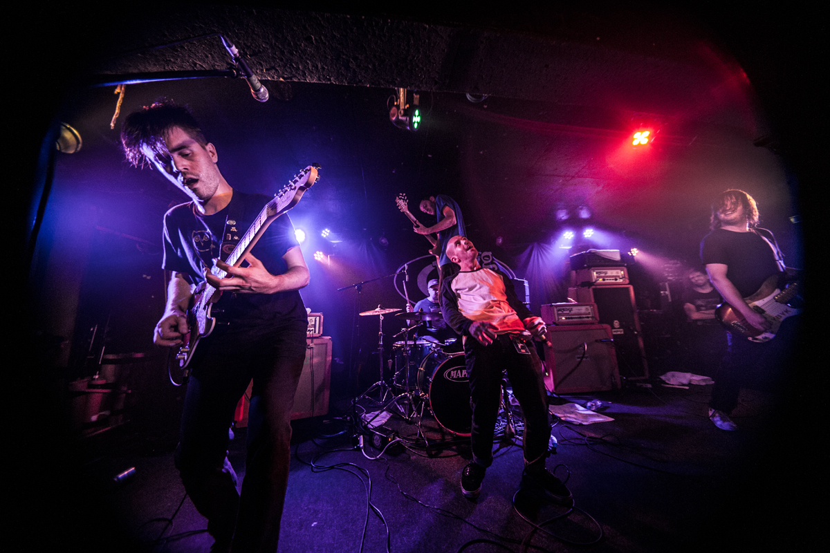 48 PUP King Tuts 18082016 davidmcandrew