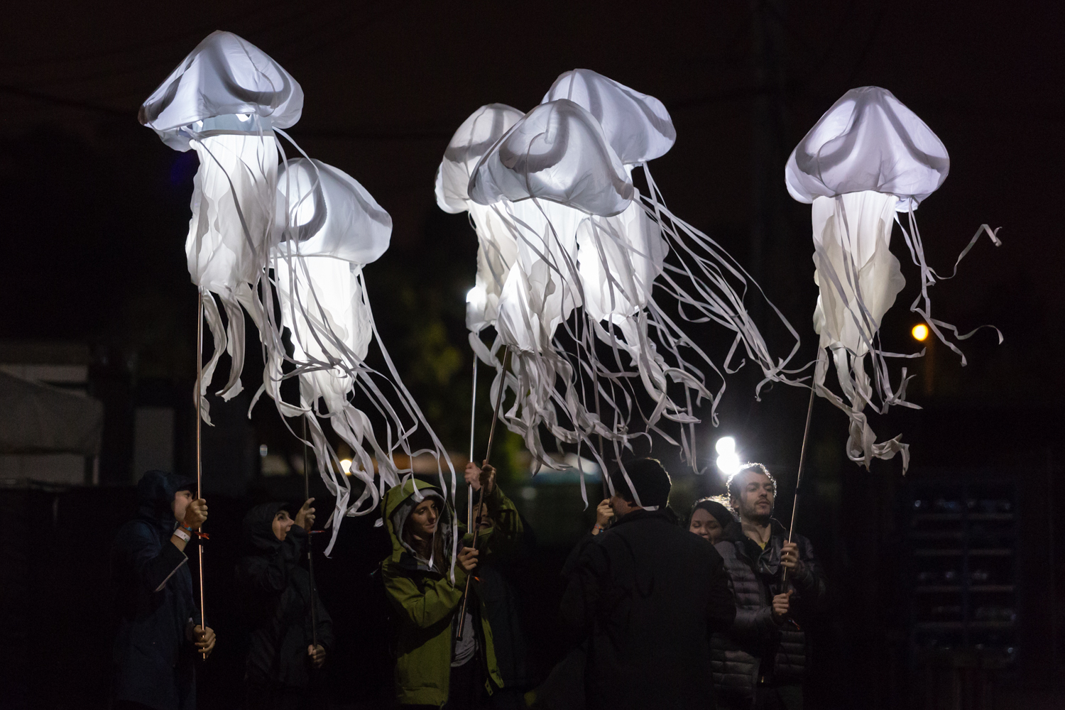 Treasure Island Music Festival 09 Jellies
