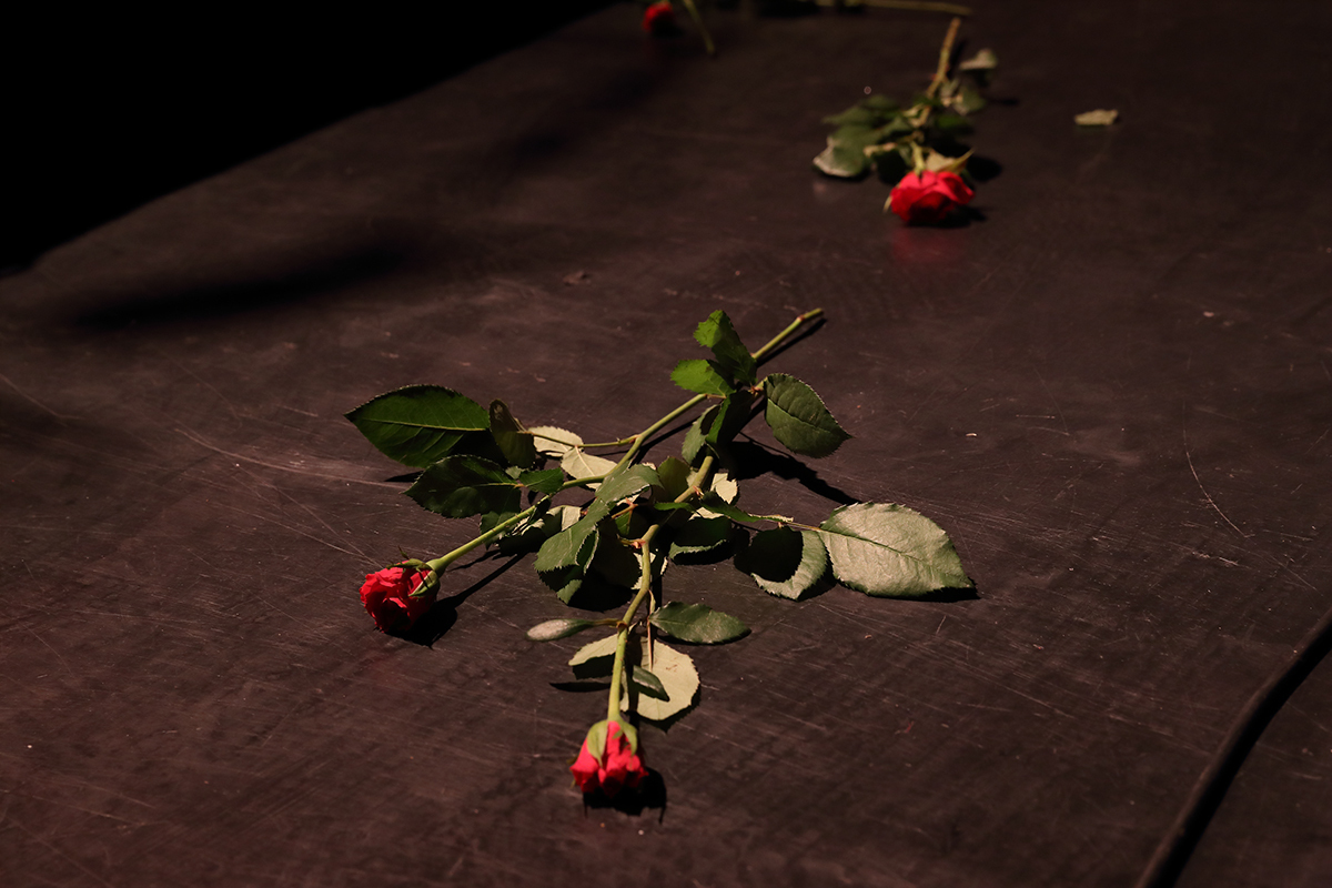 Whitney koko1116 bc01