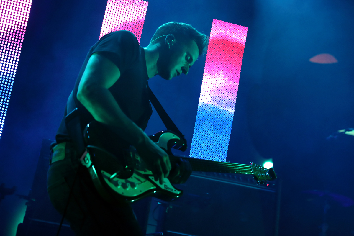 14 wild beasts 41016 rdn bc