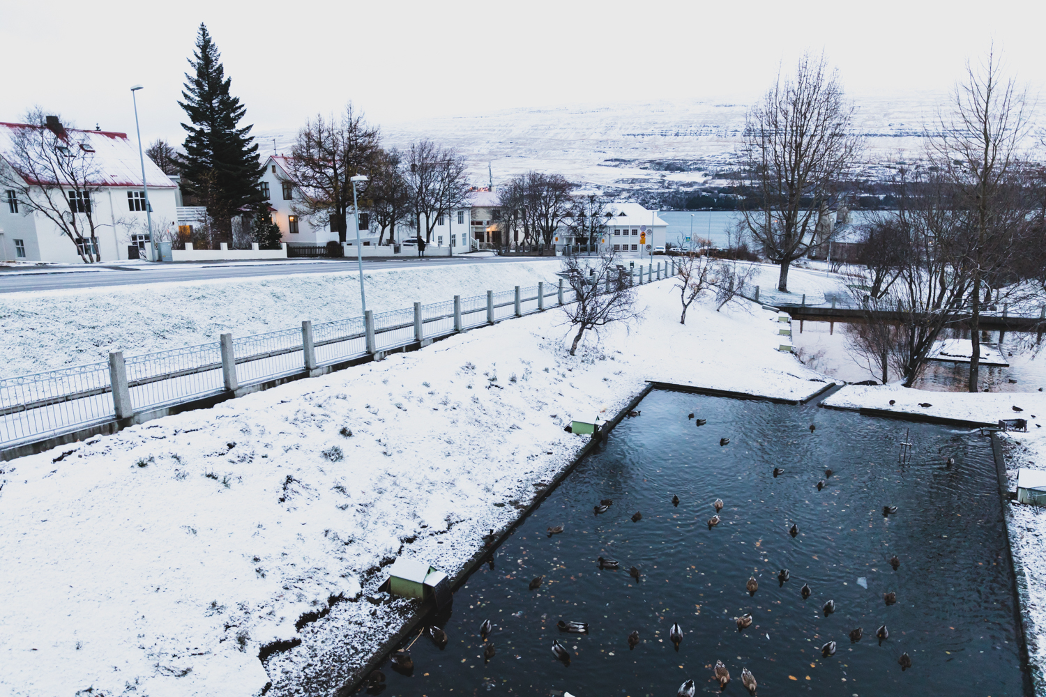 Iceland Airwaves Akureyri 13 Akureyri