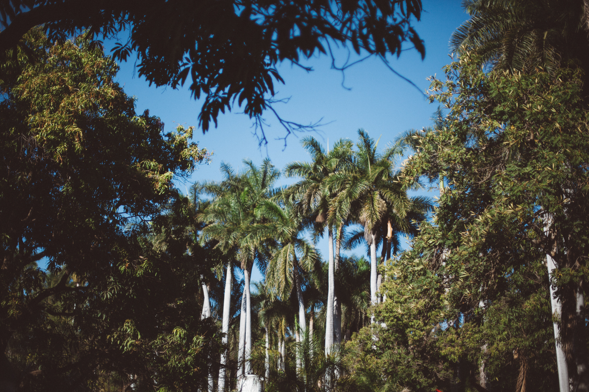 Bahidora2017 Crowd 69 of 70