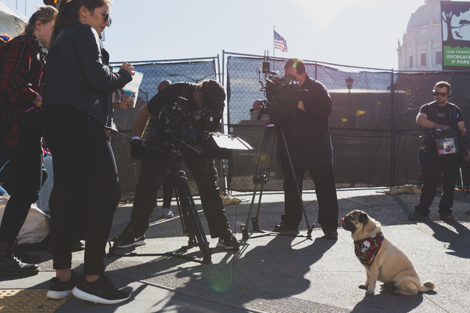 Colossal Clusterfest 2017 11 Pugparazzi