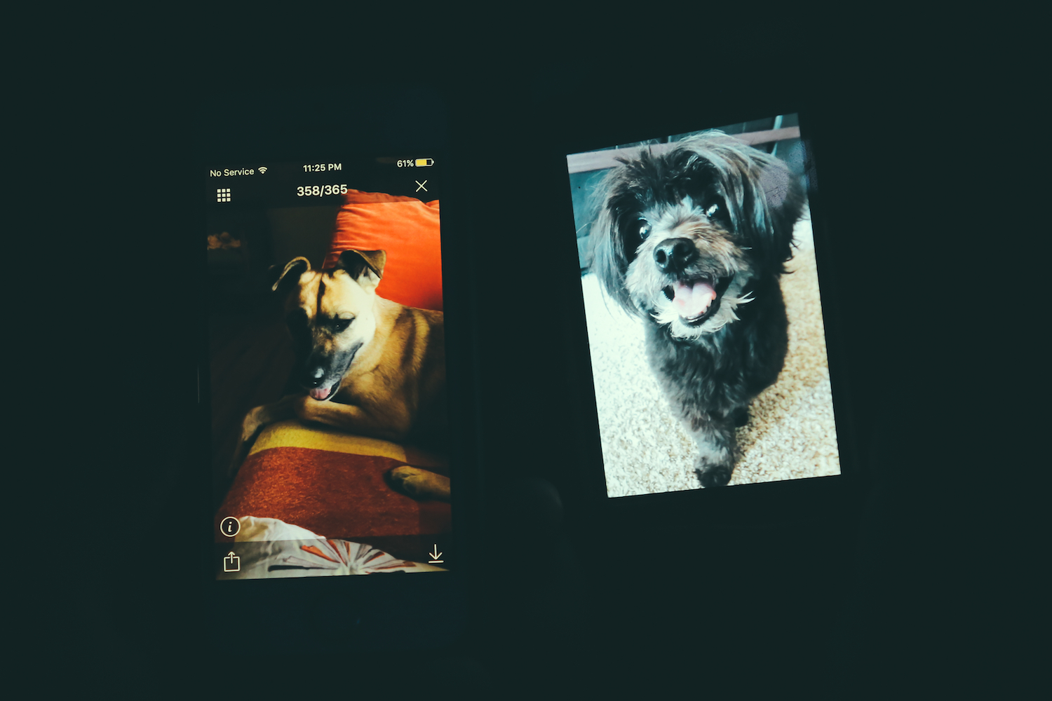 Deerhoof Doornroosje Nijmegen 30082017 Sara Amroussi Gilissen pups