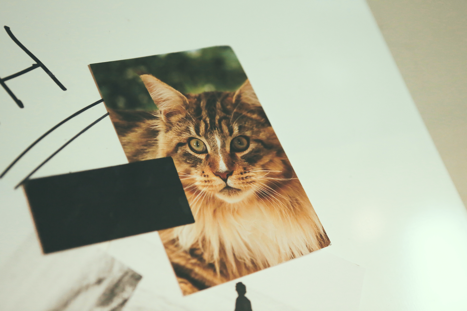 Deerhoof Doornroosje Nijmegen 30082017 Sara Amroussi Gilissen17