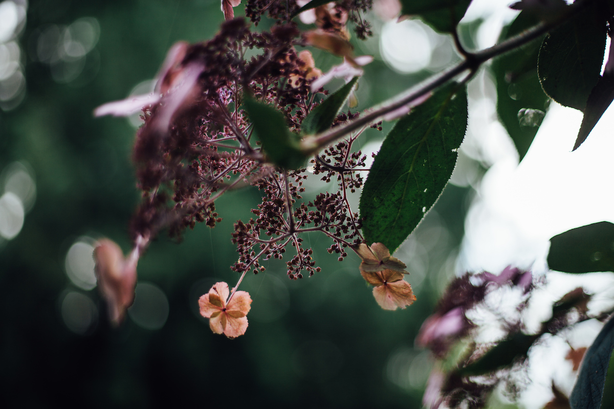 Endoftheroad2017 rjc 0036