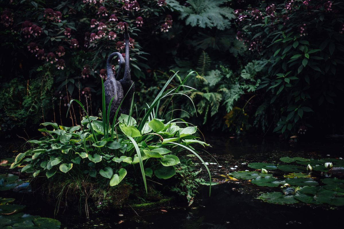 Endoftheroad2017 rjc 0038