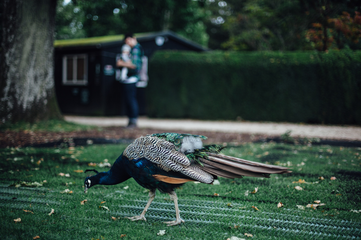 Endoftheroad2017 rjc 0062