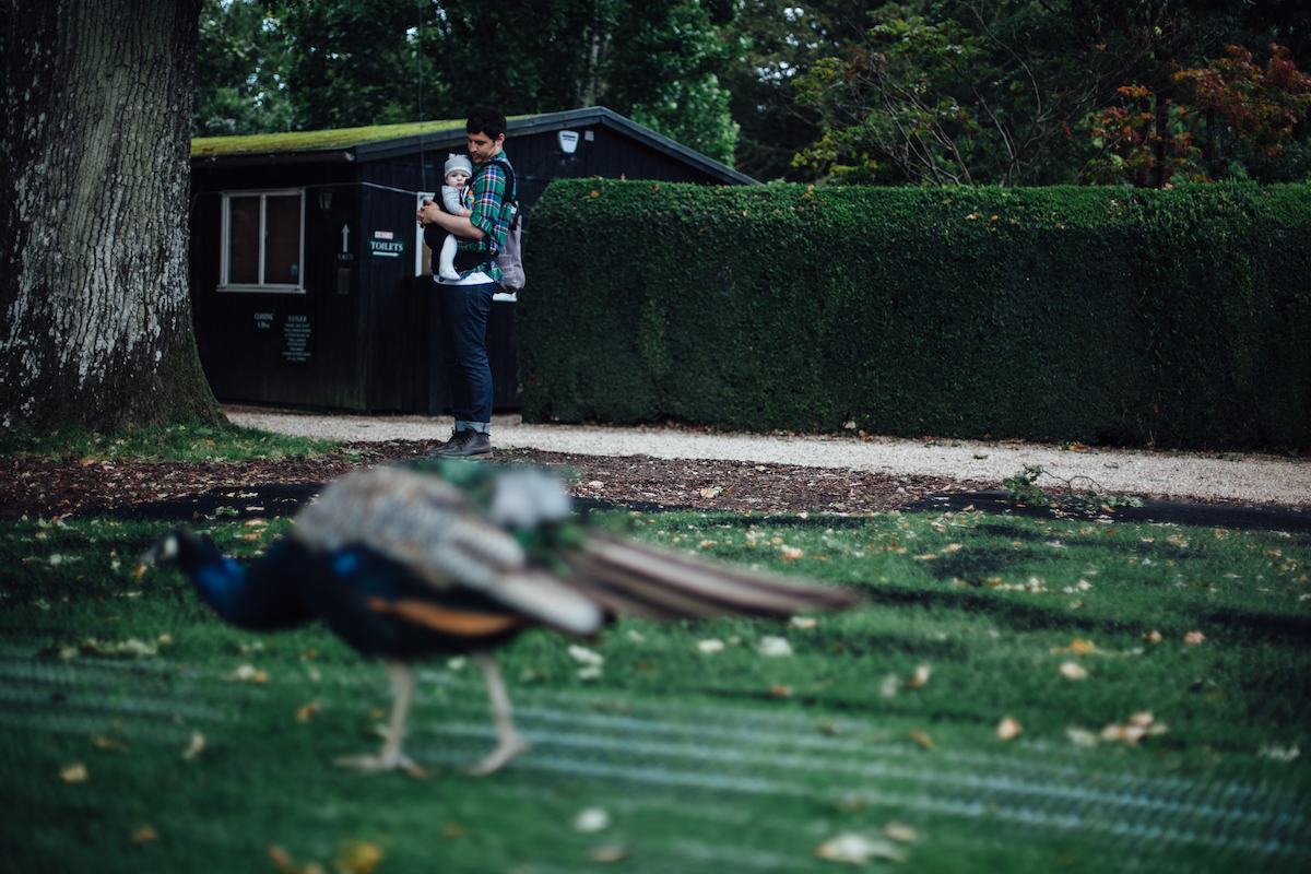 Endoftheroad2017 rjc 0063